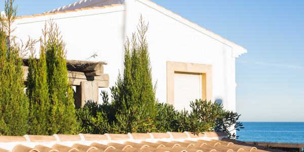 Inversores, Intermediarios, Agentes y Brokers Inmobiliarios · Casas de Playa